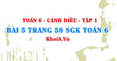 Bài 5 trang 58 SGK Toán 6 tập 1 Cánh Diều